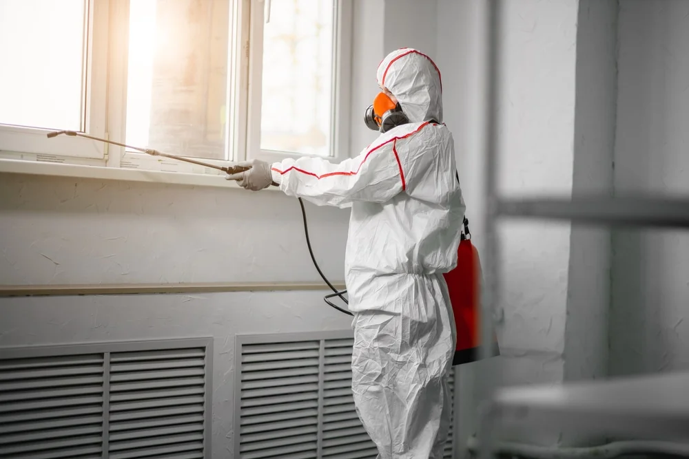 Professional mold remediation services in Shepherd, MT